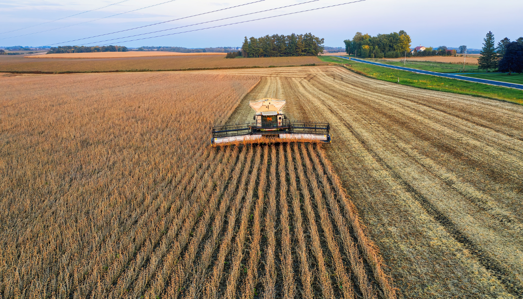 Crédito rural e passivo do agronegócio